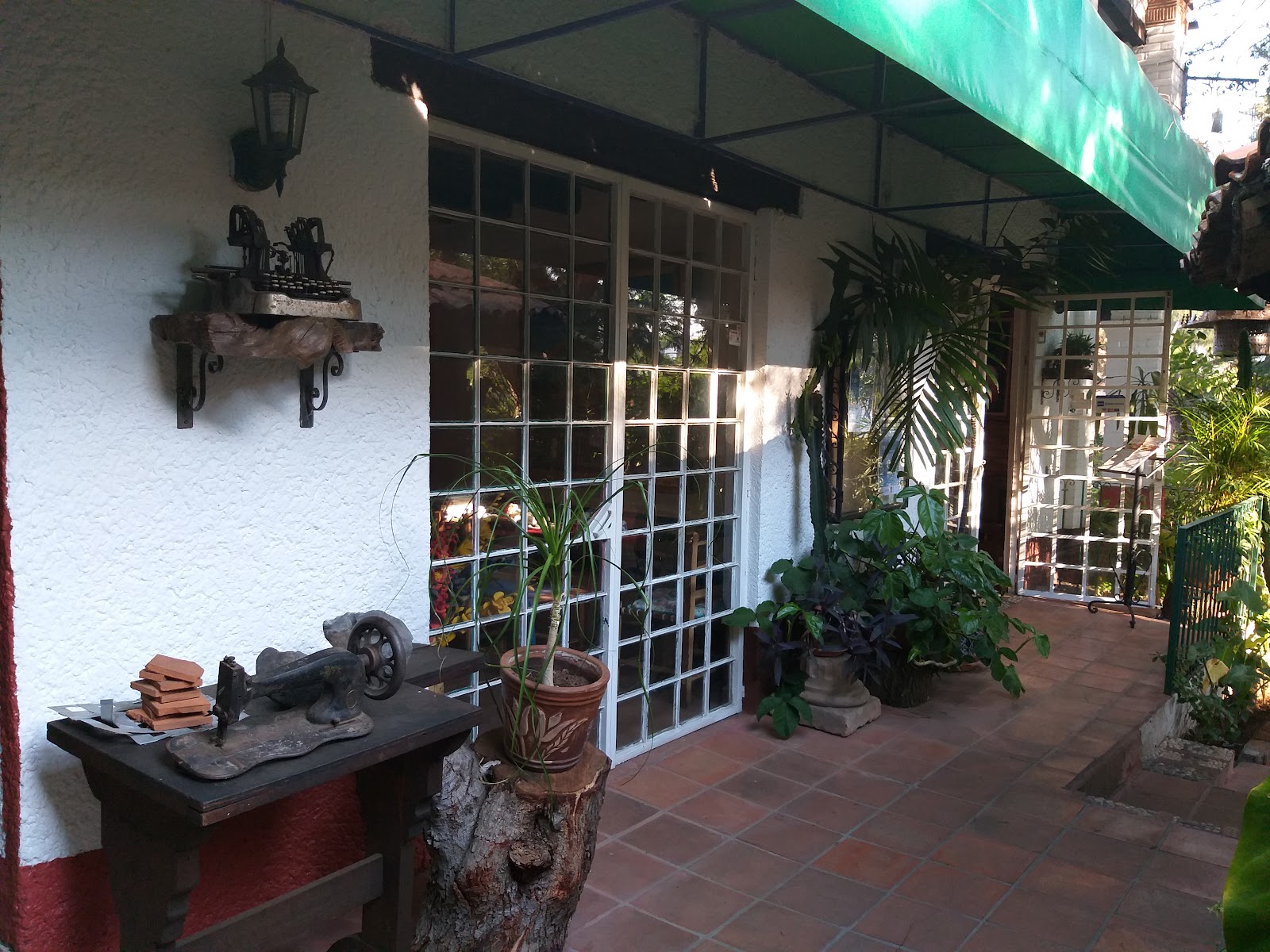 Fachada exterior de La Vienet en Morelia con vegetación, ventanas amplias y toldo verde